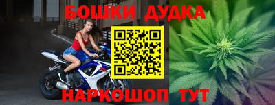 крисы Будённовск