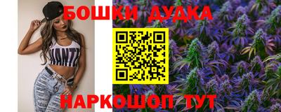 крисы Будённовск