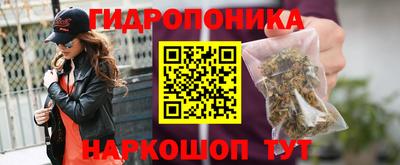 крисы Будённовск
