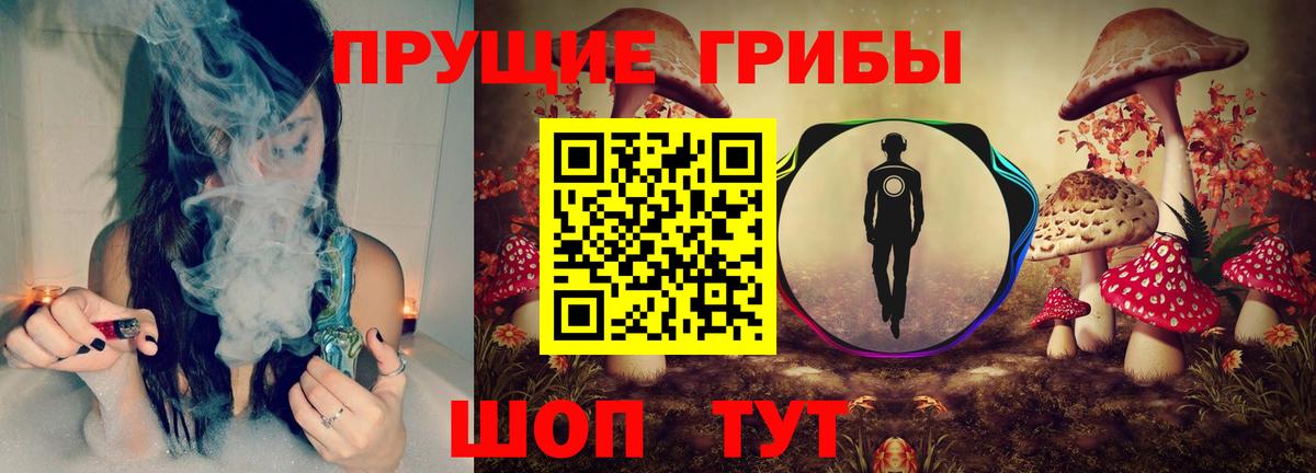 Псилоцибиновые грибы Cubensis Минеральные Воды