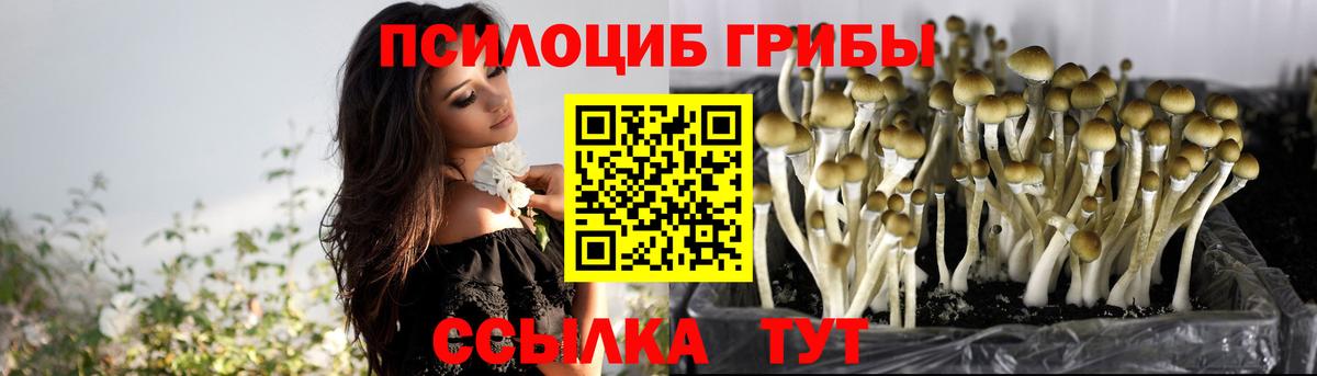 Минеральные Воды  Псилоцибиновые грибы Cubensis  Вход с VPN 